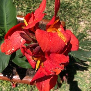 Meet your Posher, Sierra